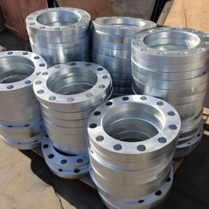 Stainless Steel Flanges